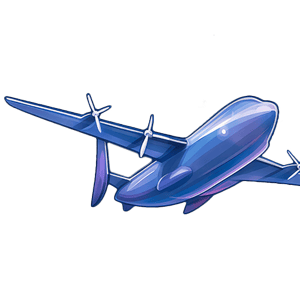 Private Plane 300.000